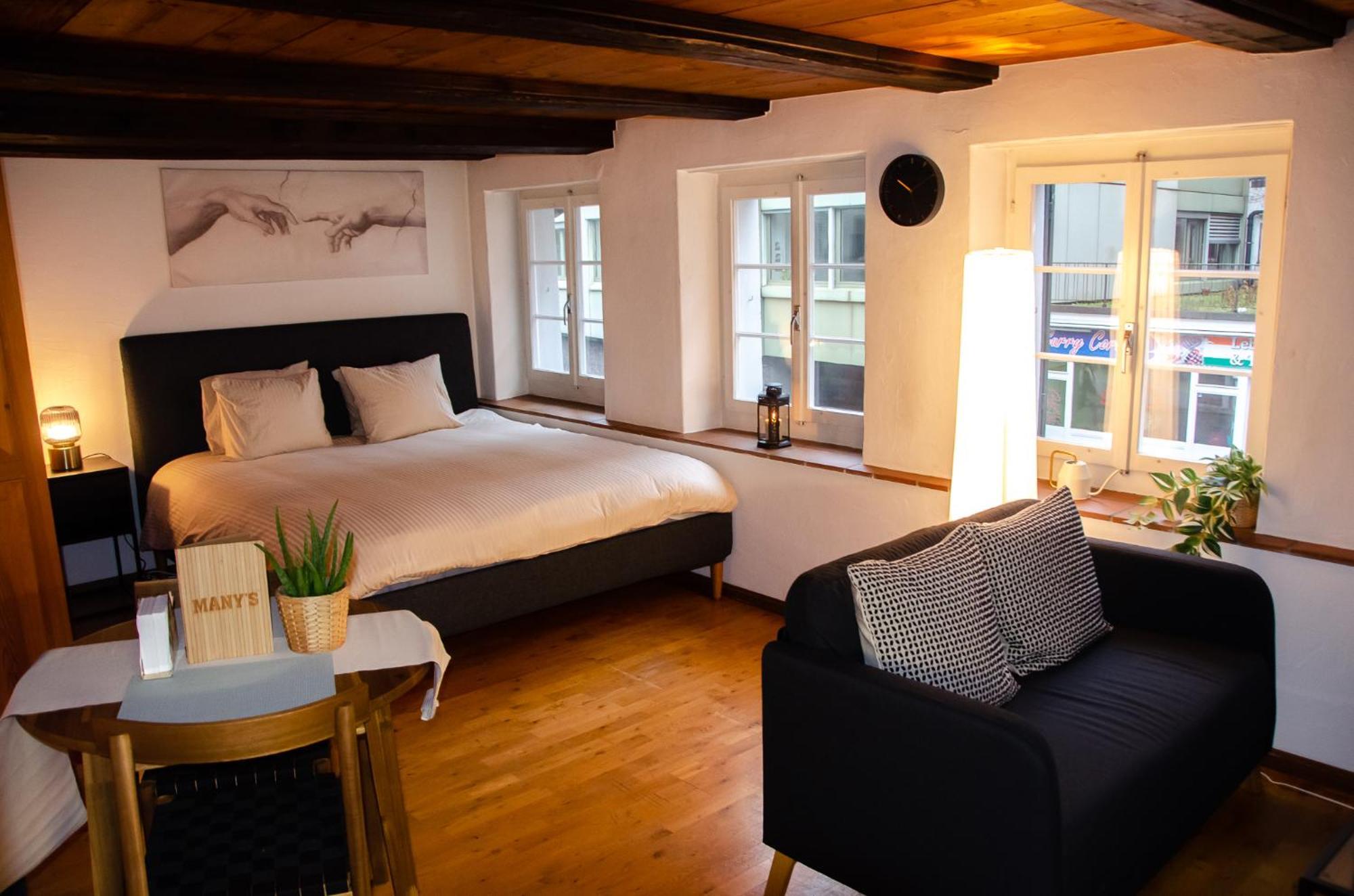 Many'S Historical City Central Apartments Zürich Eksteriør billede